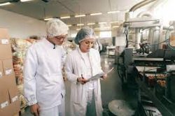 Food Safety Service Companies