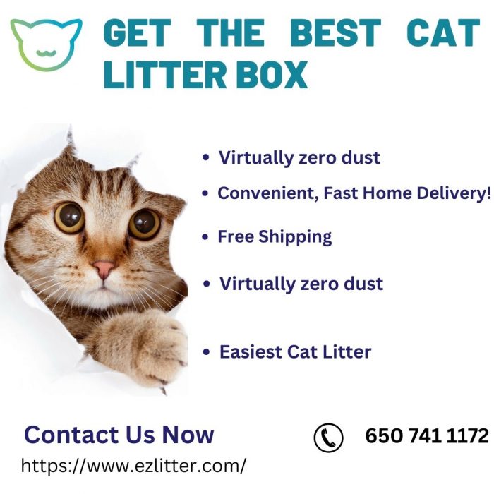 Get The Best Cat Litter Box