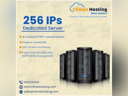 Get Cheap 256 ips dedicated server at Low Price
