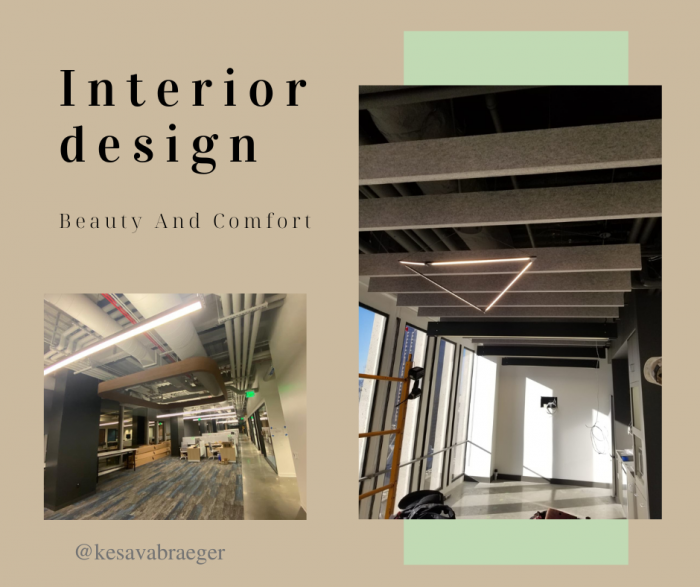 Kesava Braeger | Professional Interior Designer
