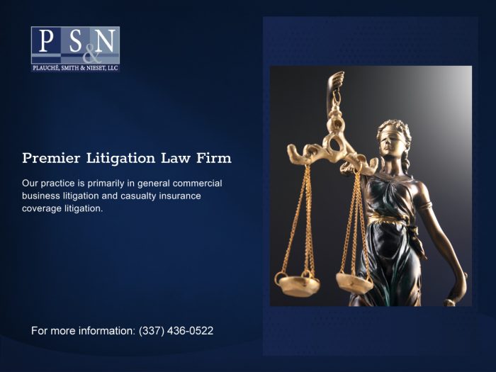 Litigation Lawyer Law Firm