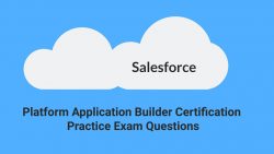Certified Platform App Builder Exam Dumps