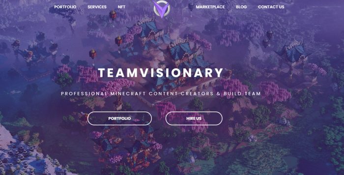 The Team Visionary Featured image