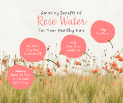 Amazing Benefits Of Rose Water For Healthy Hairs