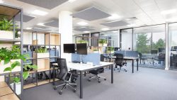Small Office Interior Design Tips