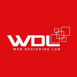SEO company in Delhi | SEO company in India – Web Designing Lab