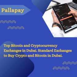 Top Bitcoin and Cryptocurrency Exchanges in Dubai