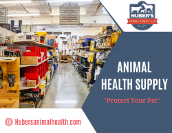 Care for Your Pet Health