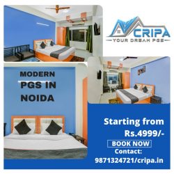 Single Room PG in Noida Sector 63