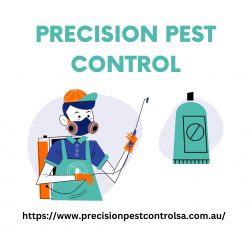Spider Control Adelaide | Precision Pest Control