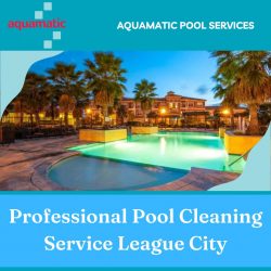 Professional Pool Cleaning Service League City, TX