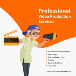 Professional Video Marketing Service