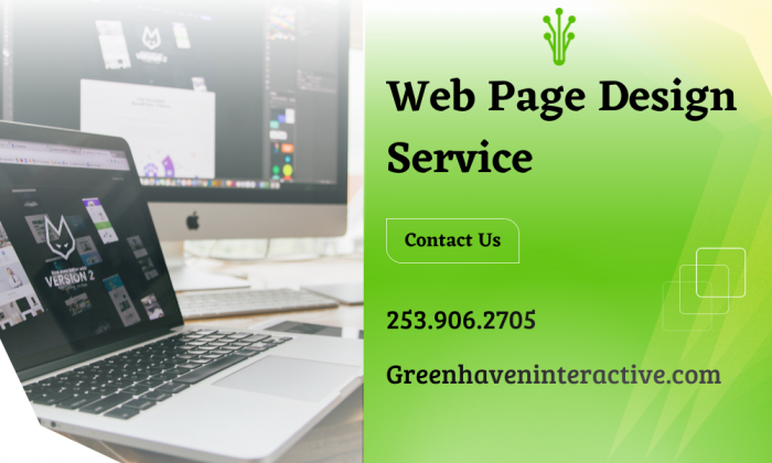 Professional Web Design Service