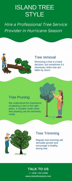 Professional Tree Removal Service at Affordable Prices