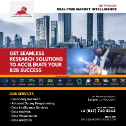 Get Seamless Market Research Solutions for B2B Success