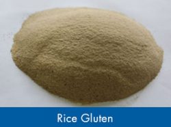Best Rice Gluten In India At Affordable Price By Gulshan Polyols