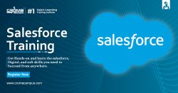 What is the career path in Salesforce?