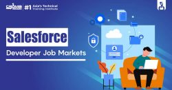 Salesforce Developer Job Markets in 2023