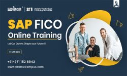 Best SAP FICO Online Training