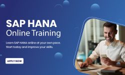 SAP HANA Training in Noida