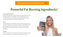 Healthier Motion Slim Patch – #1 “Holy Grail” Of Weight Loss For Good Reason