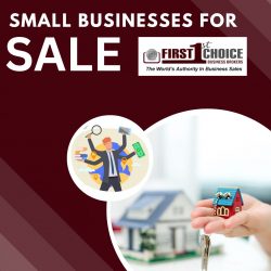 Search and Find the Great Businesses for Sale