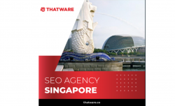 Experience the most exclusive SEO Agency Singapore