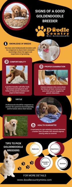 Signs of Good Goldendoodle Breeders