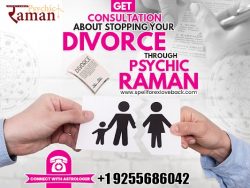 Have Solutions From The Astrologer In Fremont To Stop Your Divorce