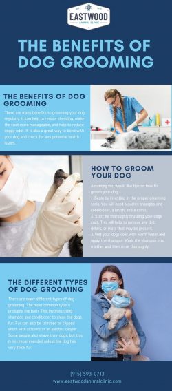The Benefits of Dog Grooming