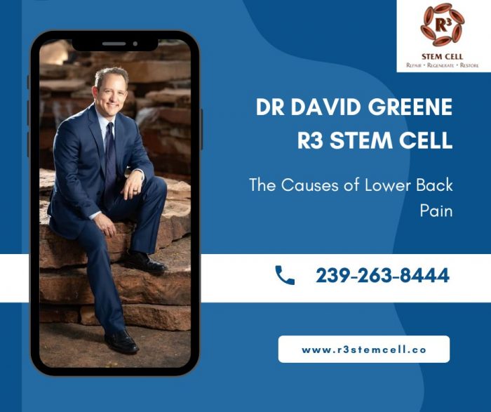 The Causes of Lower Back Pain Dr David Greene R3 Stem Cells