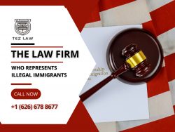 Immigration Lawyer Los Angeles | Dealing With Immigration Issues