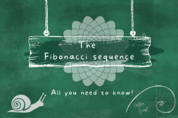 Fibonacci Series – All you need to Know | 10 Best Examples | Analytics Jobs Blogs