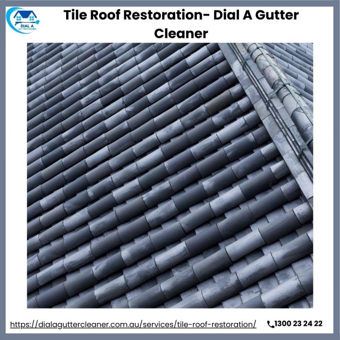 Tile Roof Restoration- Dial A Gutter Cleaner