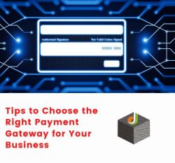 How to Choose the Right Payment Gateway for Your Business