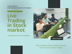 Live trading in the stock market during market hours