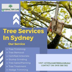 Are you looking for Tree Services in Sydney
