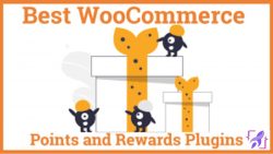 Loyalty Points and Reward Plugin: A Marketing Tool for Businesses