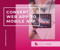 We are the number one platform for Free Website To Ios App Converter