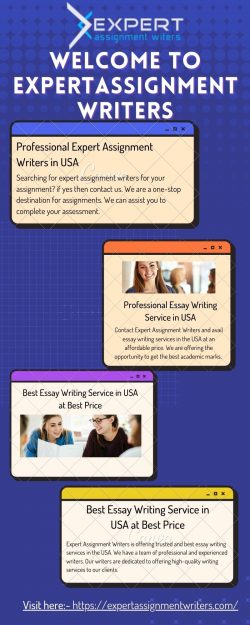 Professional Essay Writing Service in USA