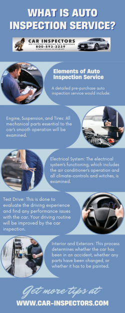 What is Auto Inspection Service?
