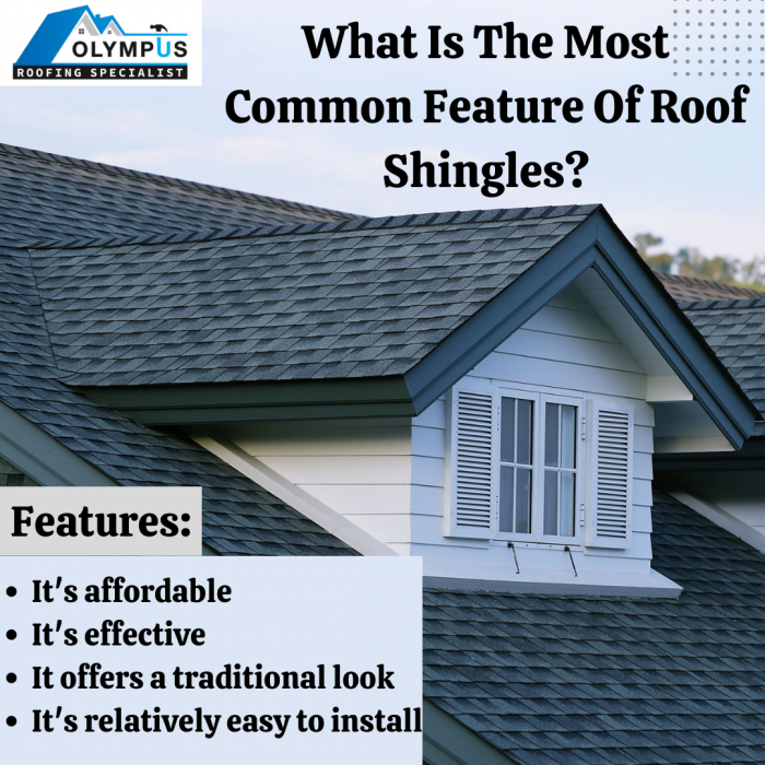 What is the Most Common Feature of Roof Shingles?