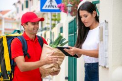 Why should I use online grocery delivery software?