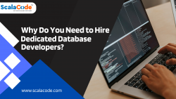 Why Do You Need to Hire Dedicated Database Developers?