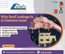 Why Roof Leakage Is A Common Issue