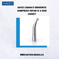 Why should you choose Hayes Canada’s endodontic handpiece repair?