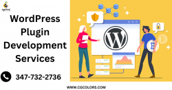 WordPress Plugin Development Services – CGColors