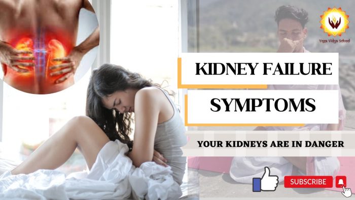 SIGNS YOUR KIDNEYS ARE IN TROUBLE | YOGA FOR KIDNEYS – JOIN Yoga Vidya School