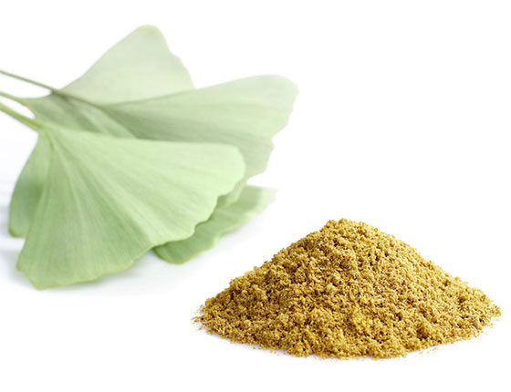Organic Ginkgo Powder/Leaf