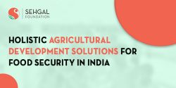 Holistic Agricultural Development Solutions For Food Security